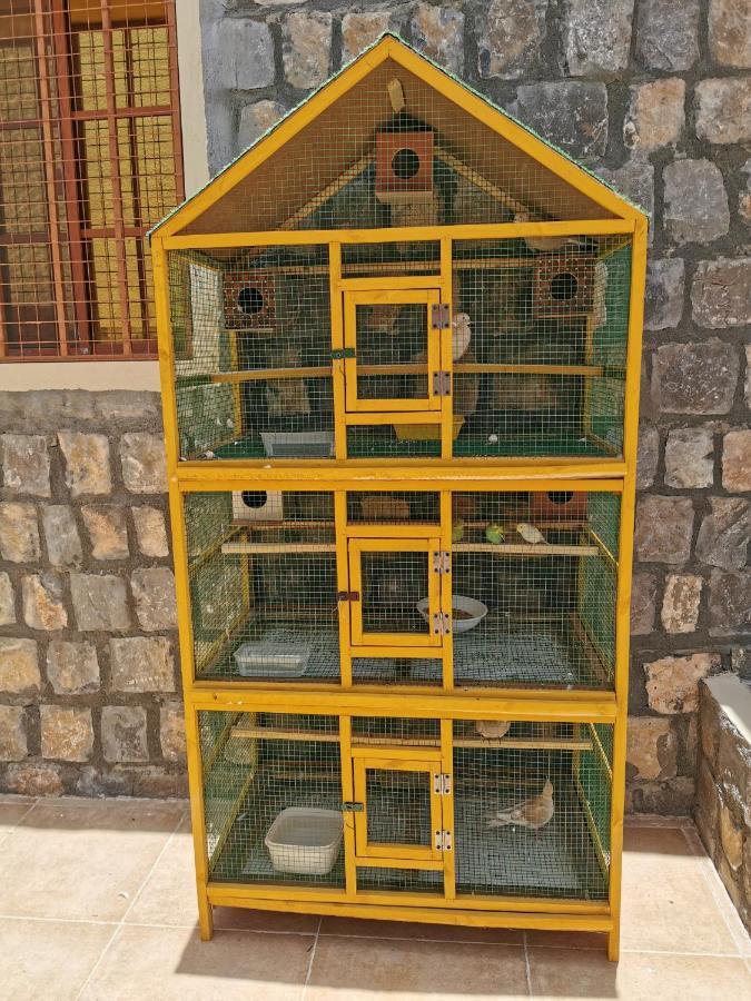 Salassel Al Jabal Al Akhdar فلة سلاسل الجبل الأخضر * Al 'Ayn